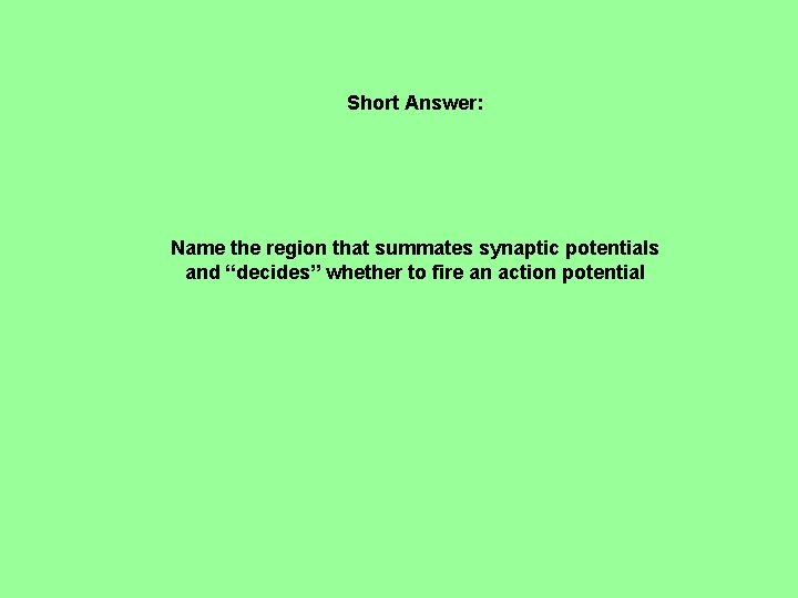 Short Answer: Name the region that summates synaptic potentials and “decides” whether to fire