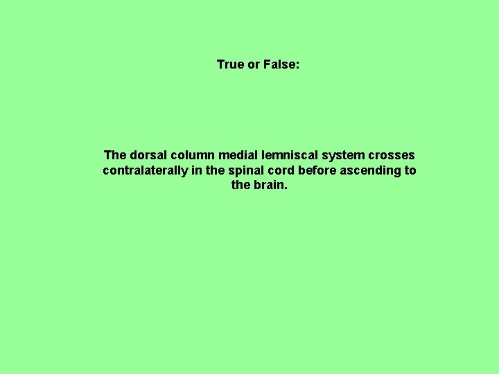 True or False: The dorsal column medial lemniscal system crosses contralaterally in the spinal