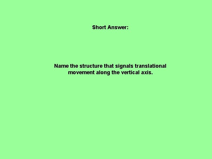 Short Answer: Name the structure that signals translational movement along the vertical axis. 