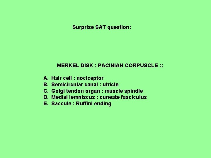 Surprise SAT question: MERKEL DISK : PACINIAN CORPUSCLE : : A. B. C. D.