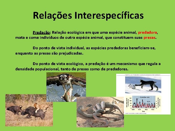 Relações Interespecíficas Predação: Relação ecológica em que uma espécie animal, predadora, mata e come