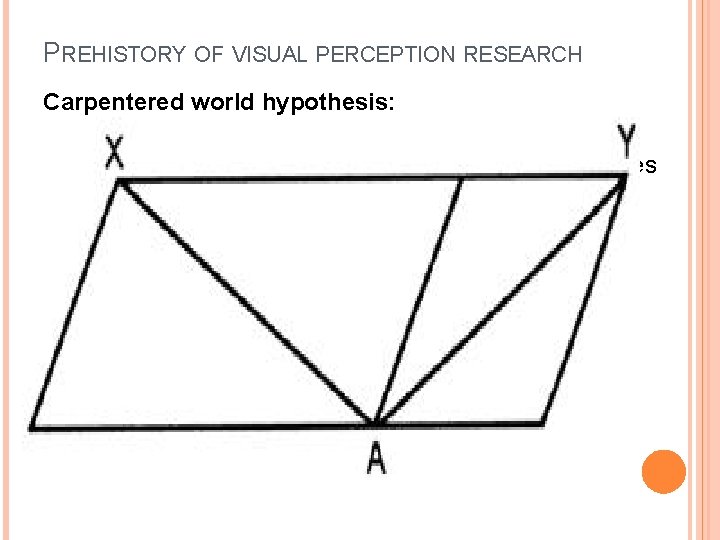 PREHISTORY OF VISUAL PERCEPTION RESEARCH Carpentered world hypothesis: The tendency of people from highly