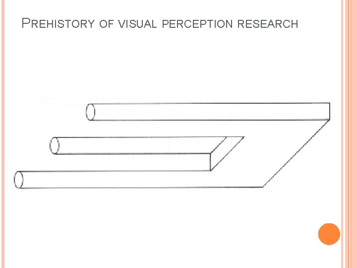 PREHISTORY OF VISUAL PERCEPTION RESEARCH 