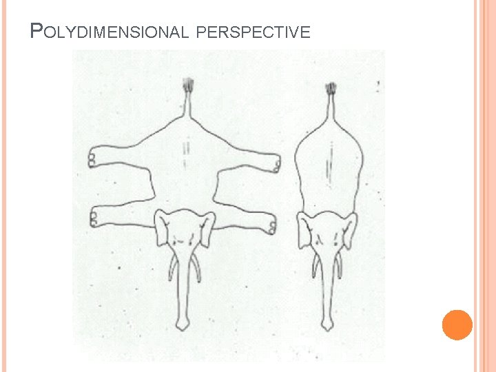 POLYDIMENSIONAL PERSPECTIVE 