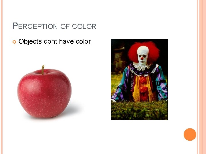 PERCEPTION OF COLOR Objects dont have color 