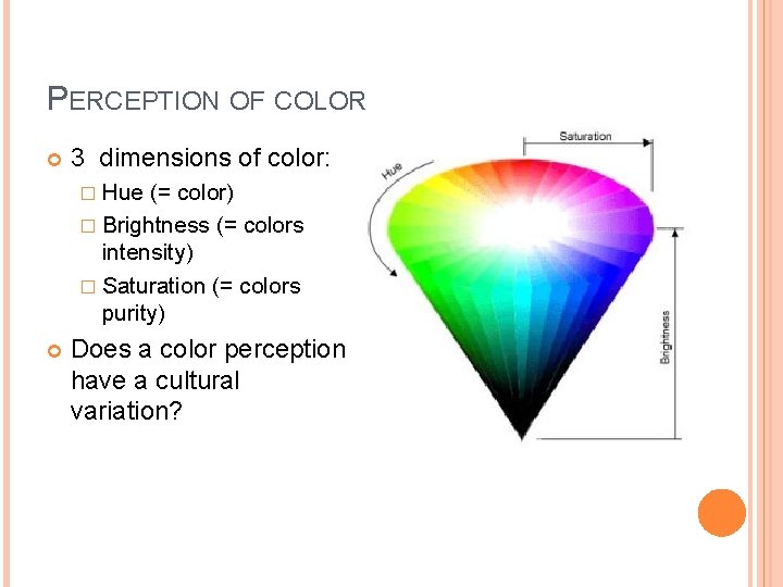 PERCEPTION OF COLOR 3 dimensions of color: � Hue (= color) � Brightness (=