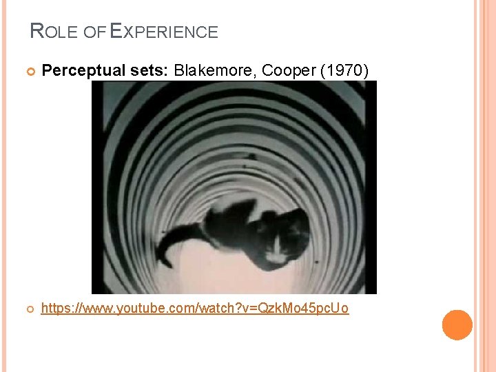 ROLE OF EXPERIENCE Perceptual sets: Blakemore, Cooper (1970) https: //www. youtube. com/watch? v=Qzk. Mo