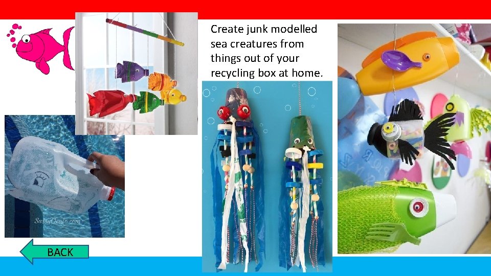 Create junk modelled sea creatures from things out of your recycling box at home.