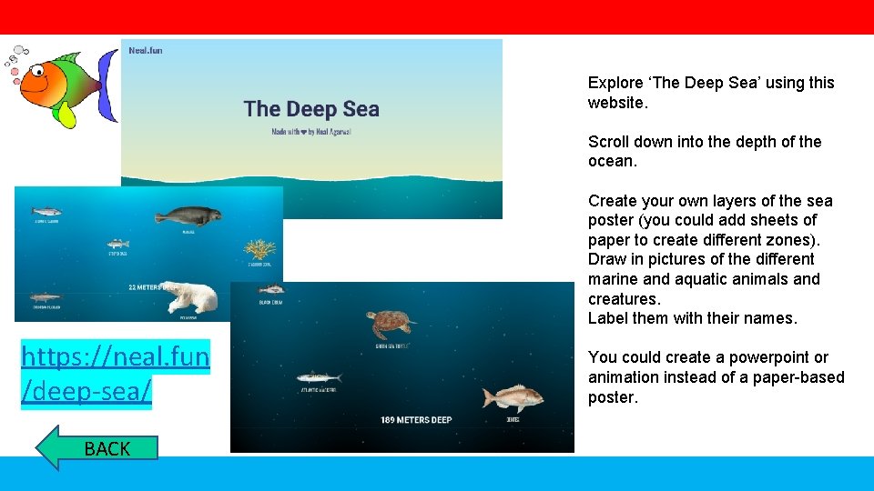 Explore ‘The Deep Sea’ using this website. Scroll down into the depth of the