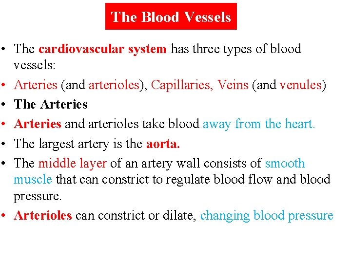 The Blood Vessels • The cardiovascular system has three types of blood vessels: •