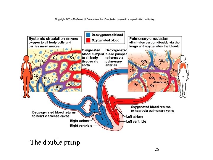 The double pump 26 