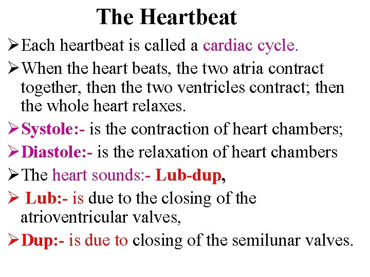 The Heartbeat ØEach heartbeat is called a cardiac cycle. ØWhen the heart beats, the