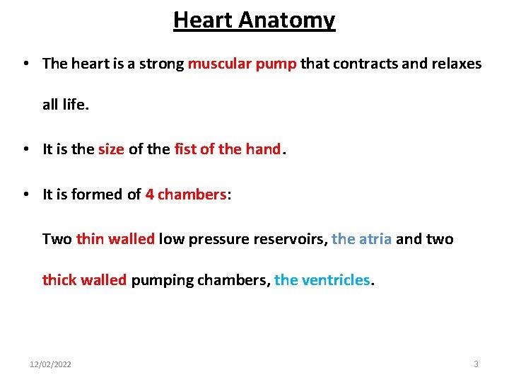 Heart Anatomy • The heart is a strong muscular pump that contracts and relaxes