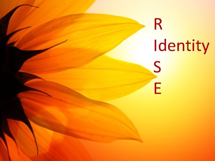 R Identity S E 