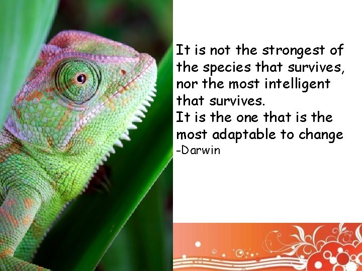 It is not the strongest of the species that survives, nor the most intelligent