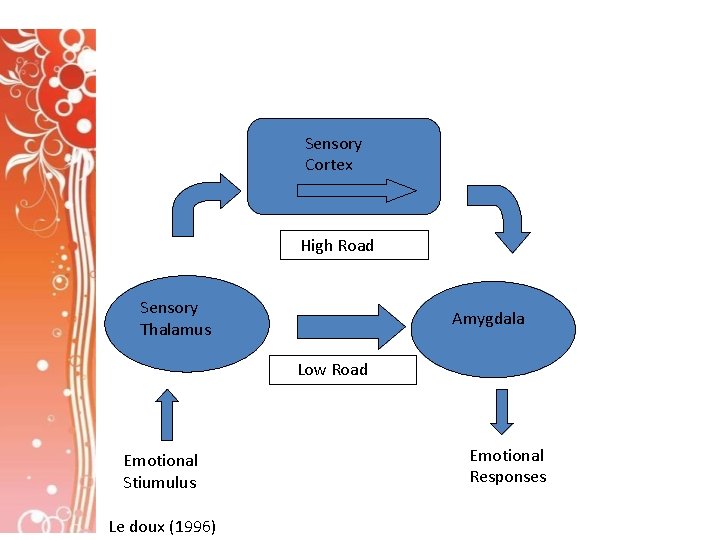 Sensory Cortex High Road Sensory Thalamus Amygdala Low Road Emotional Stiumulus Le doux (1996)