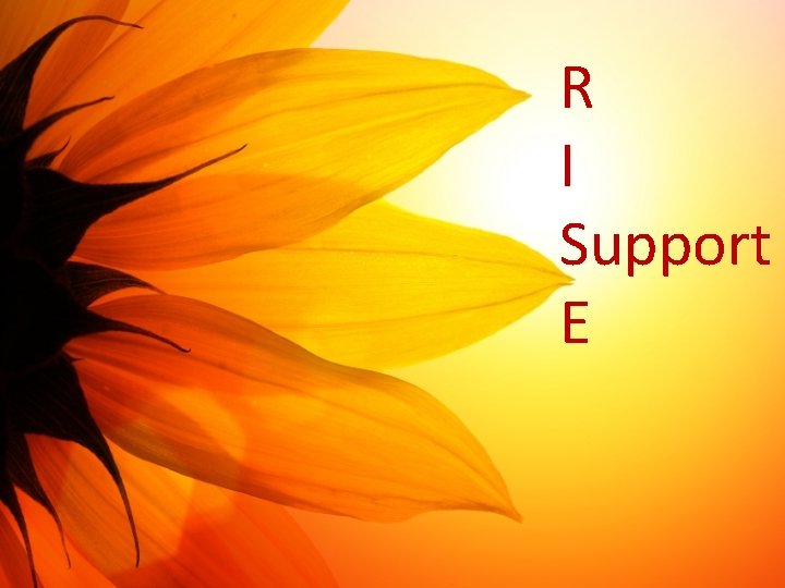 R I Support E 