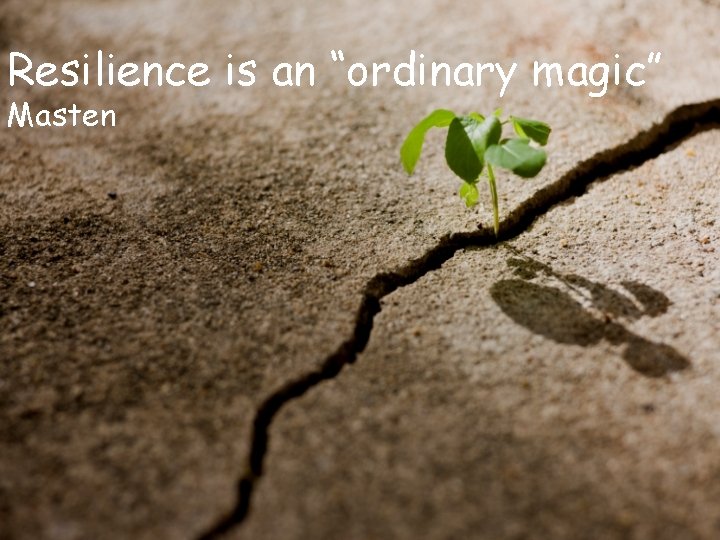 Resilience is an “ordinary magic” Masten 