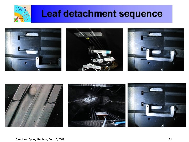 Leaf detachment sequence Pixel Leaf Spring Review , Dec 19, 2007 21 