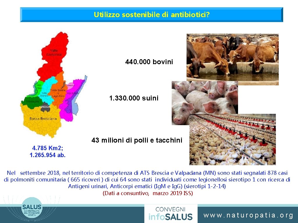 Utilizzo sostenibile di antibiotici? 440. 000 bovini 1. 330. 000 suini 43 milioni di