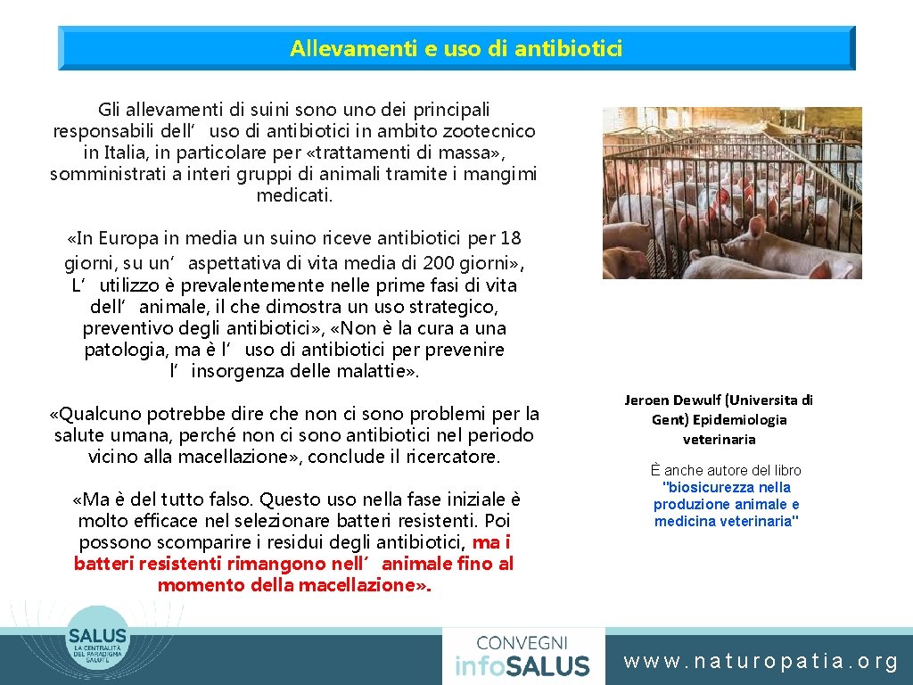 Allevamenti e uso di antibiotici Gli allevamenti di suini sono uno dei principali responsabili