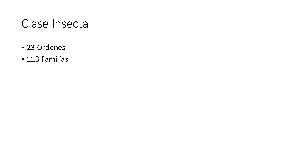 Clase Insecta • 23 Ordenes • 113 Familias Clase Insecta • 23 Ordenes • 113 Familias