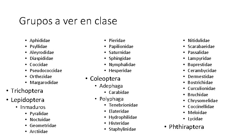 Grupos a ver en clase • • Aphididae Psyllidae Aleyrodidae Diaspididae Coccidae Pseudococcidae Orthezidae Grupos a ver en clase • • Aphididae Psyllidae Aleyrodidae Diaspididae Coccidae Pseudococcidae Orthezidae