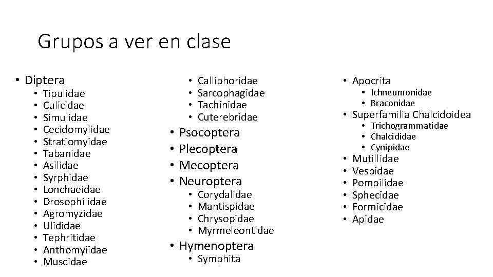 Grupos a ver en clase • Diptera • • • • Tipulidae Culicidae Simulidae Grupos a ver en clase • Diptera • • • • Tipulidae Culicidae Simulidae