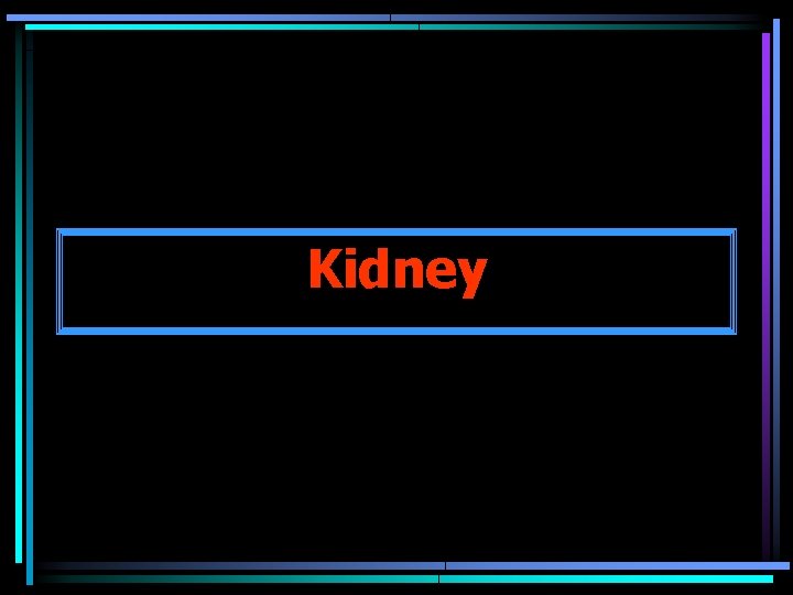 Kidney 