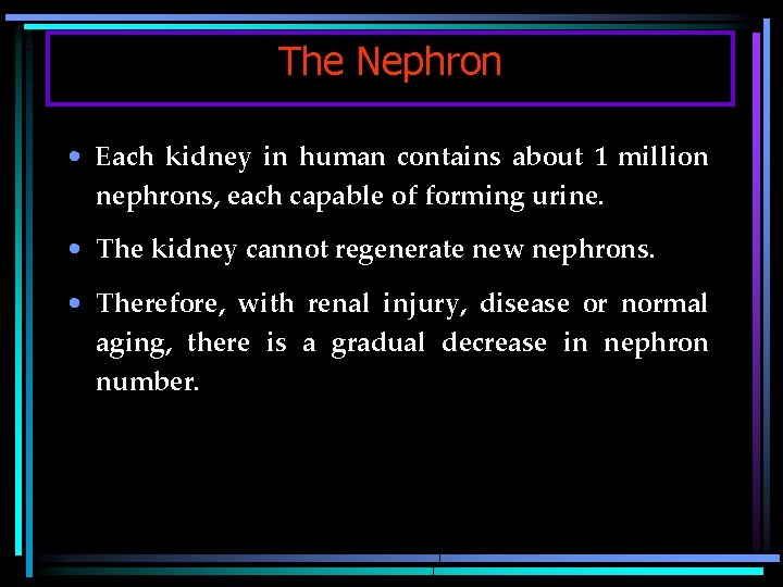 The Nephron • Each kidney in human contains about 1 million nephrons, each capable