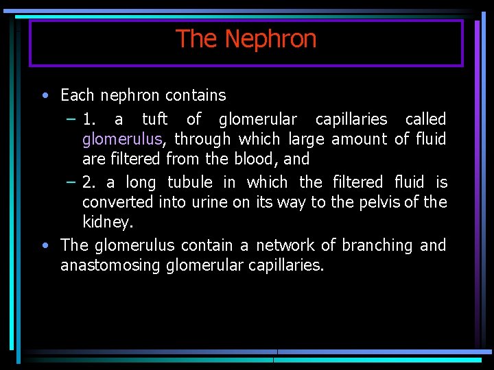 The Nephron • Each nephron contains – 1. a tuft of glomerular capillaries called