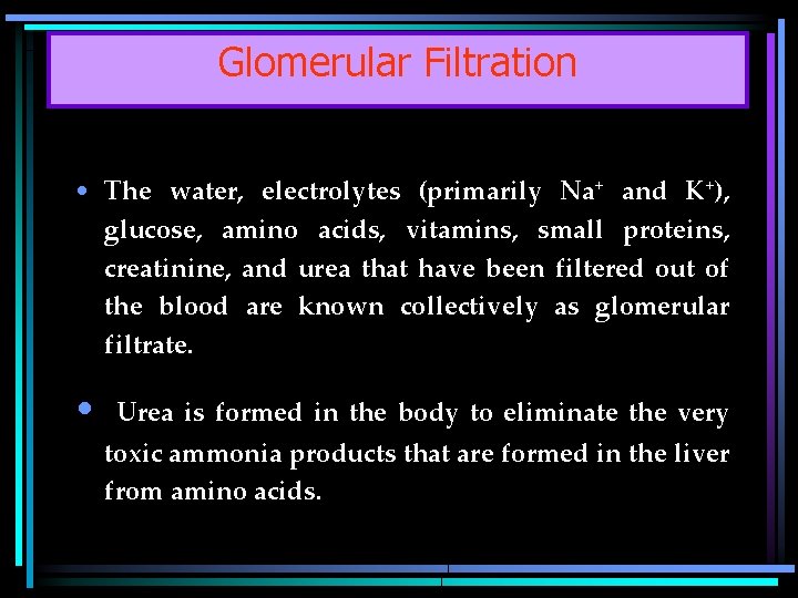 Glomerular Filtration • The water, electrolytes (primarily Na+ and K+), glucose, amino acids, vitamins,
