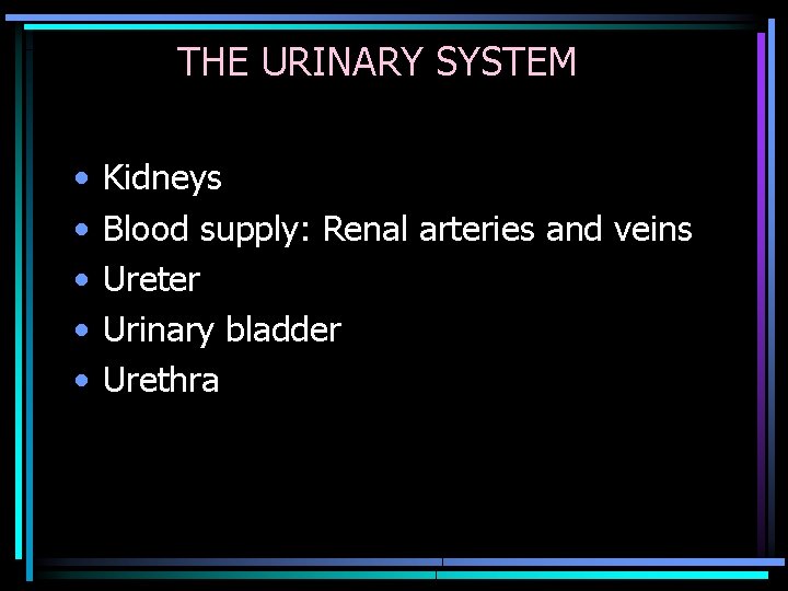 THE URINARY SYSTEM • • • Kidneys Blood supply: Renal arteries and veins Ureter