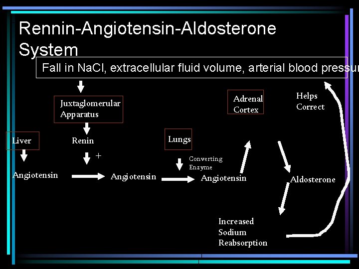 Rennin-Angiotensin-Aldosterone System Fall in Na. Cl, extracellular fluid volume, arterial blood pressur Adrenal Cortex