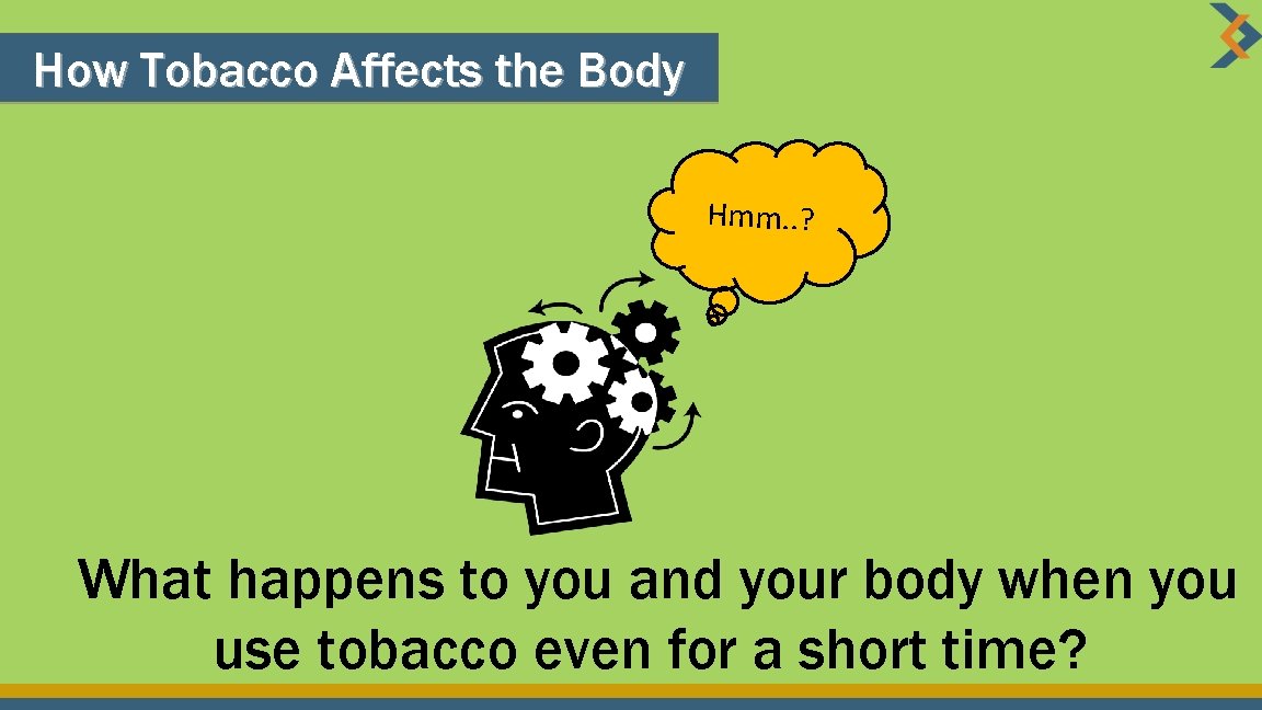 How Tobacco Affects the Body Hmm. . ? What happens to you and your