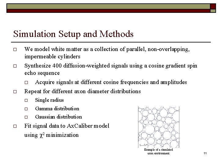 Simulation Setup and Methods We model white matter as a collection of parallel, non-overlapping,