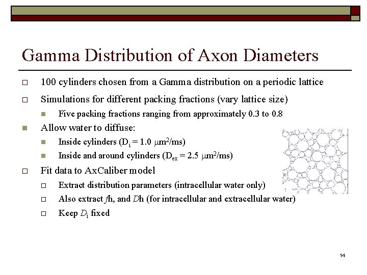 Gamma Distribution of Axon Diameters 100 cylinders chosen from a Gamma distribution on a