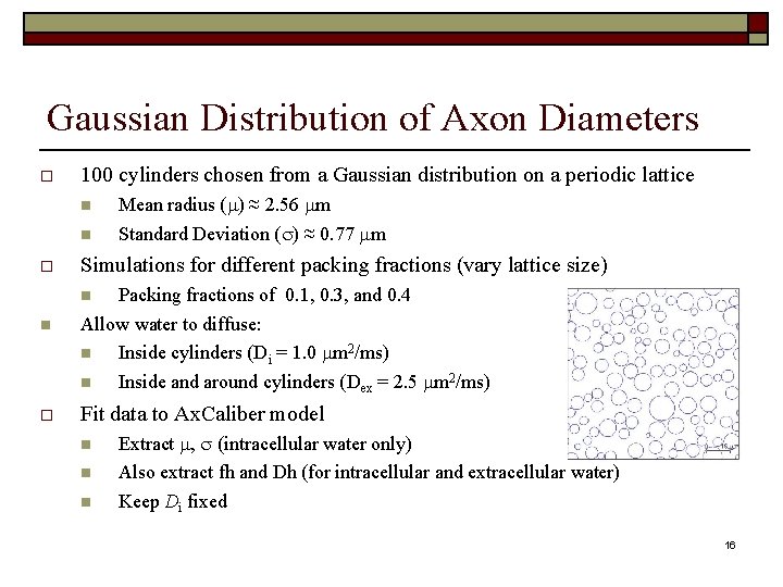 Gaussian Distribution of Axon Diameters 100 cylinders chosen from a Gaussian distribution on a