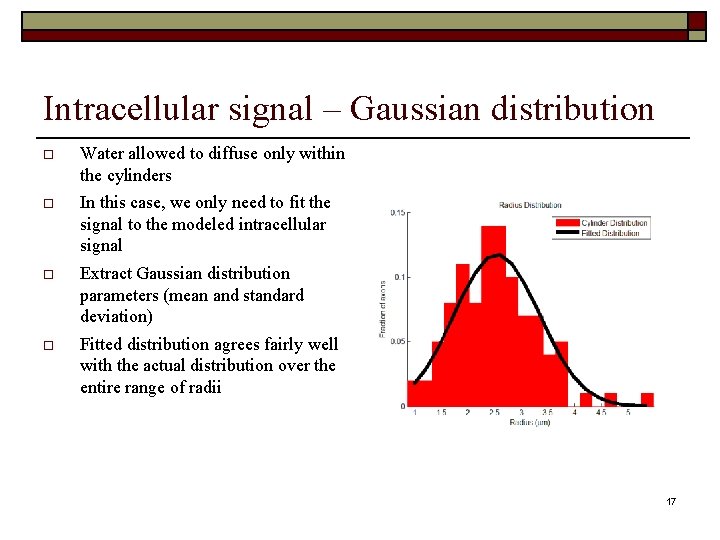 Intracellular signal – Gaussian distribution Water allowed to diffuse only within the cylinders In