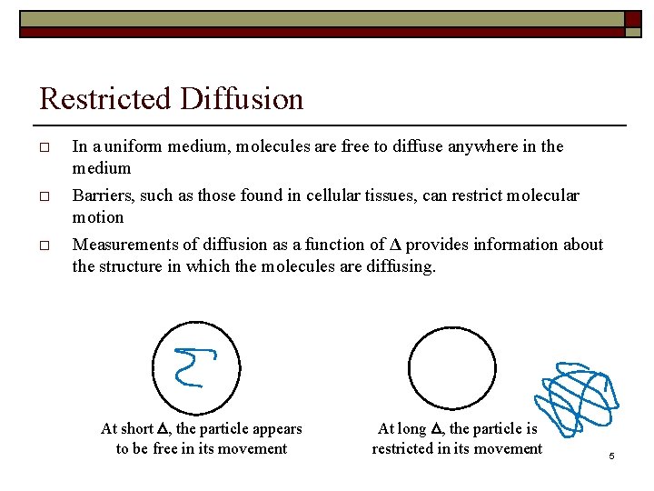 Restricted Diffusion In a uniform medium, molecules are free to diffuse anywhere in the