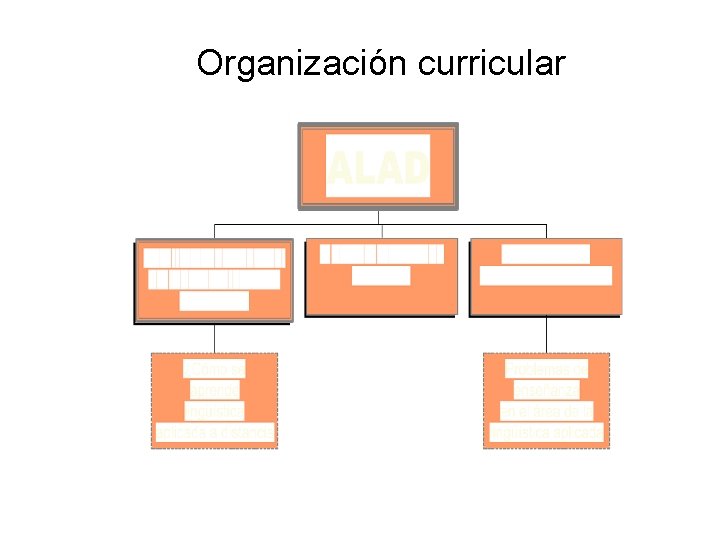 Organización curricular 