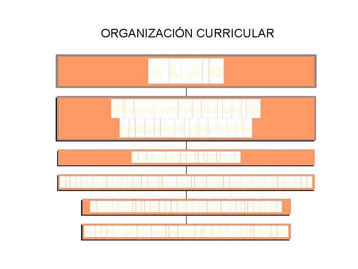 ORGANIZACIÓN CURRICULAR 