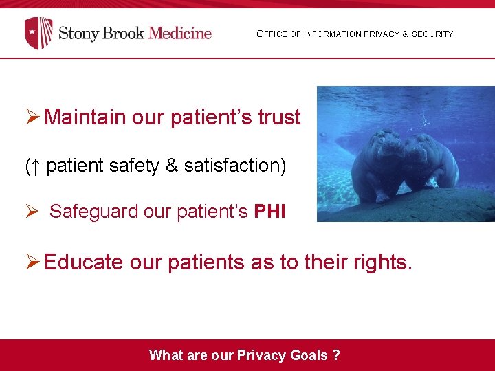 OFFICE OF INFORMATION PRIVACY & SECURITY ØMaintain our patient’s trust (↑ patient safety &