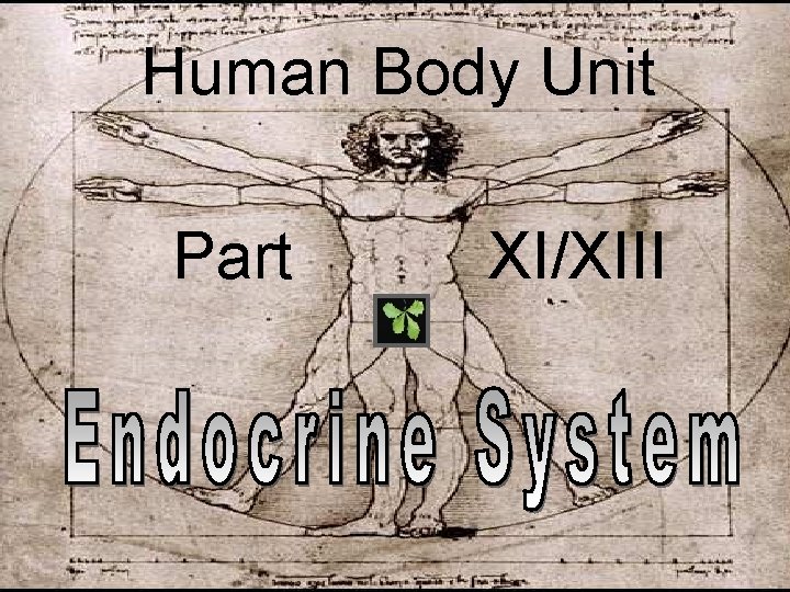 Human Body Unit Part XI/XIII 