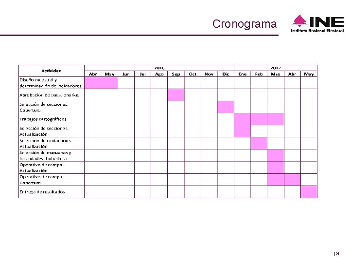 Cronograma |9 