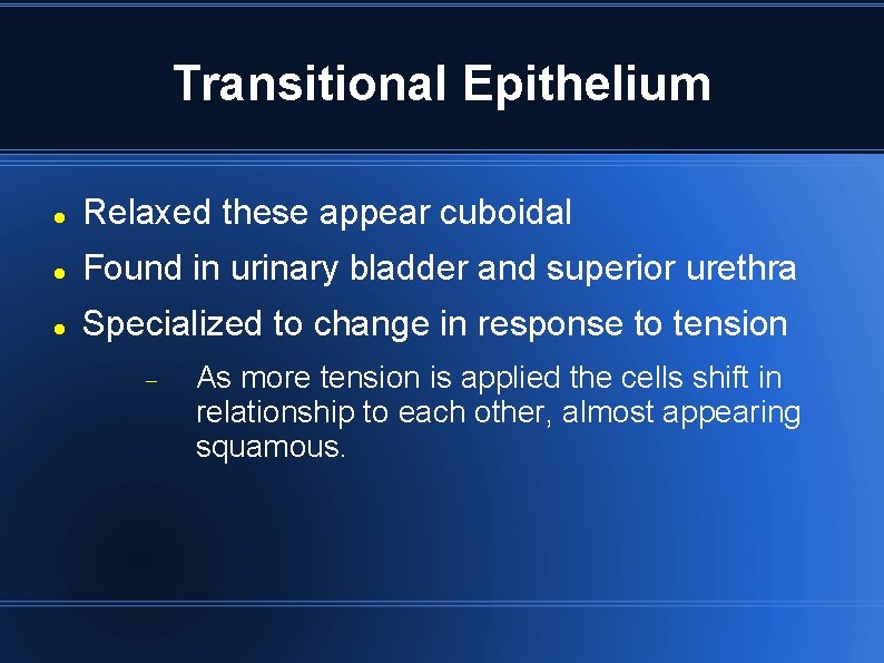 Transitional Epithelium Relaxed these appear cuboidal Found in urinary bladder and superior urethra Specialized Transitional Epithelium Relaxed these appear cuboidal Found in urinary bladder and superior urethra Specialized
