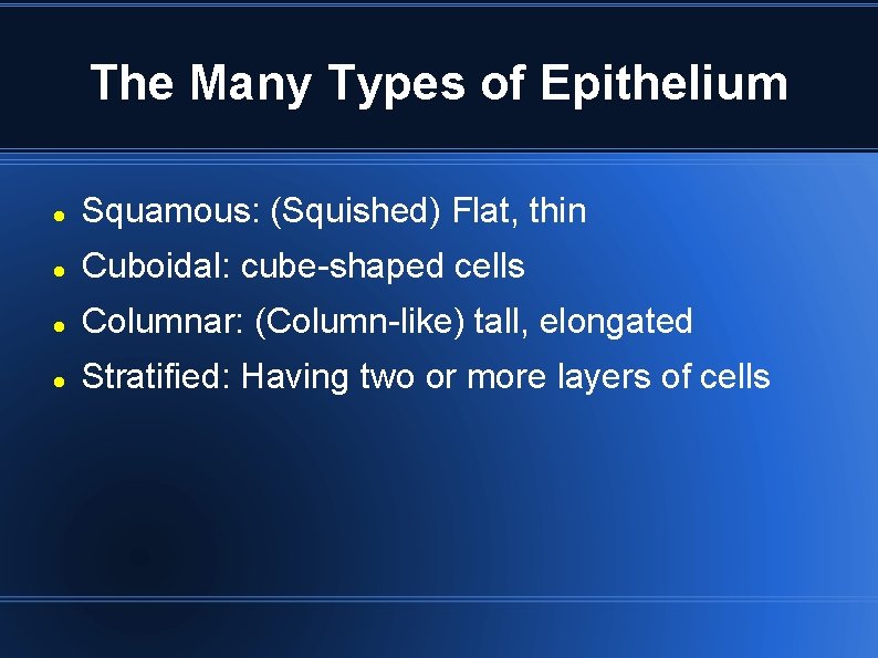 The Many Types of Epithelium Squamous: (Squished) Flat, thin Cuboidal: cube-shaped cells Columnar: (Column-like) The Many Types of Epithelium Squamous: (Squished) Flat, thin Cuboidal: cube-shaped cells Columnar: (Column-like)
