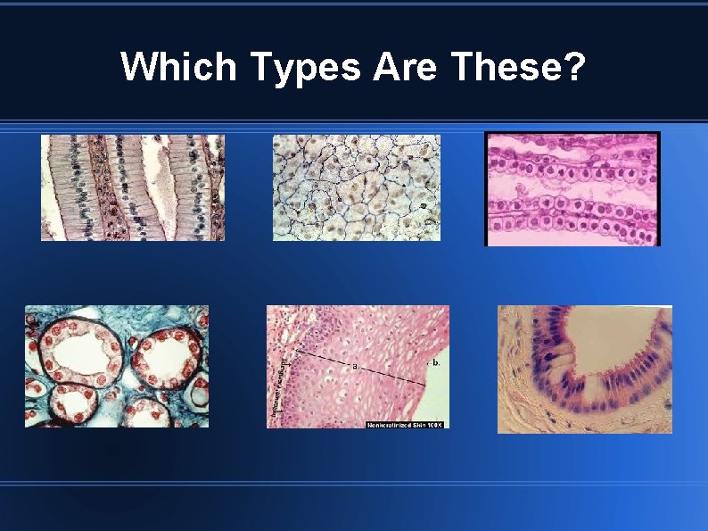 Which Types Are These? Which Types Are These?