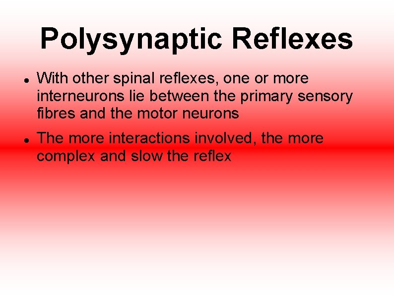 Polysynaptic Reflexes With other spinal reflexes, one or more interneurons lie between the primary Polysynaptic Reflexes With other spinal reflexes, one or more interneurons lie between the primary
