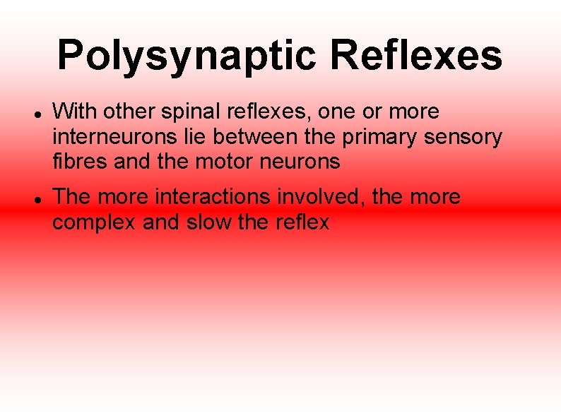 Polysynaptic Reflexes With other spinal reflexes, one or more interneurons lie between the primary